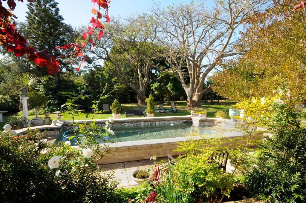 Forest Hall Guest House Port Elizabeth Ngoại thất bức ảnh