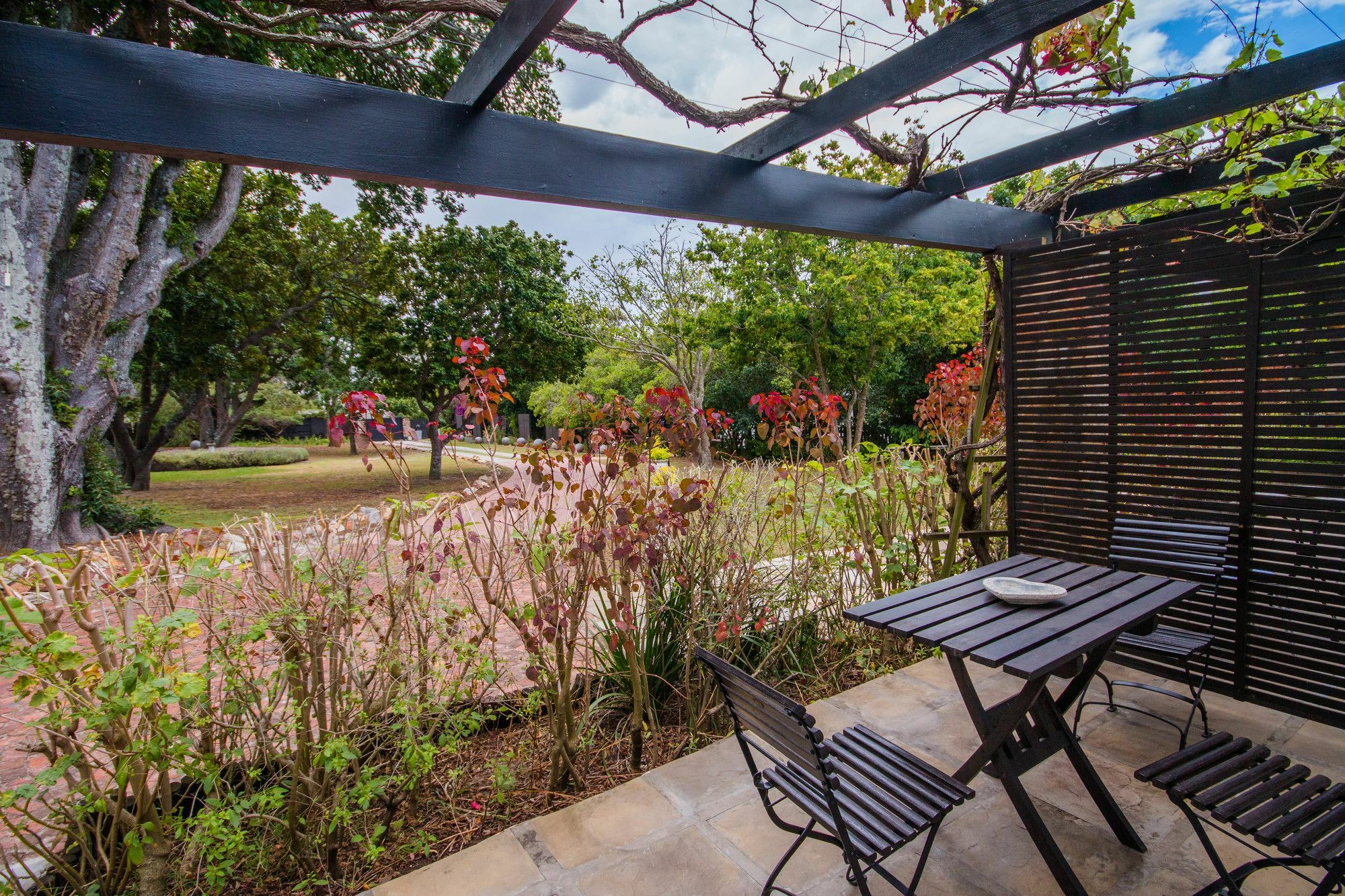 Forest Hall Guest House Port Elizabeth Ngoại thất bức ảnh